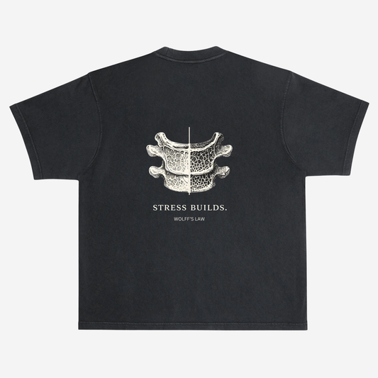 EMPIRIC. STRESS BUILDS. tee — back print detail, vertebral cross-section anatomy graphic