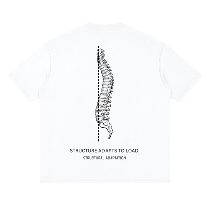 DROP 001 — STRUCTURE ADAPTS TO LOAD.