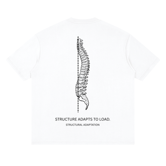 DROP 001 — STRUCTURE ADAPTS TO LOAD.
