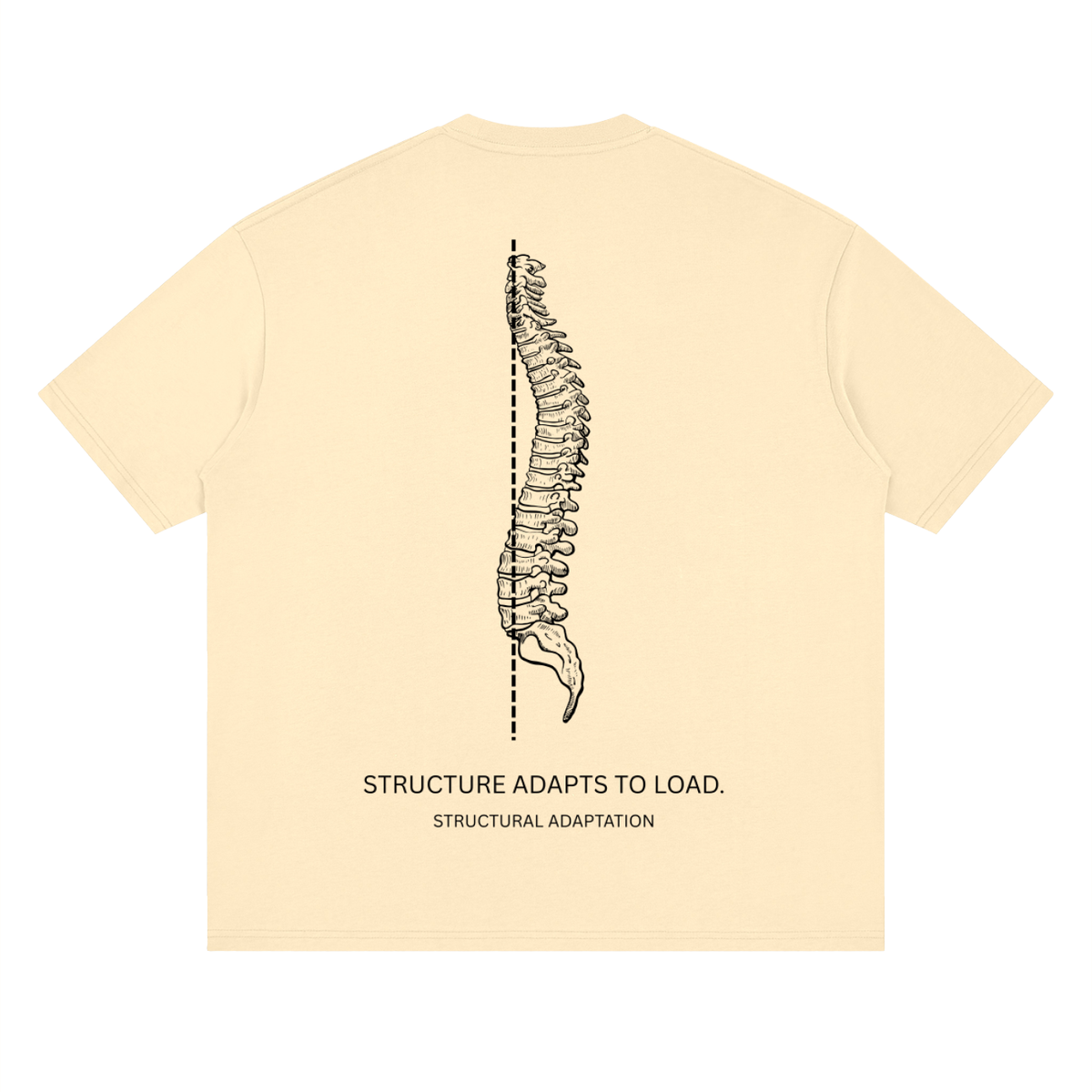 DROP 001 — STRUCTURE ADAPTS TO LOAD.