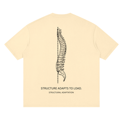 DROP 001 — STRUCTURE ADAPTS TO LOAD.