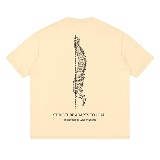 DROP 001 — STRUCTURE ADAPTS TO LOAD.