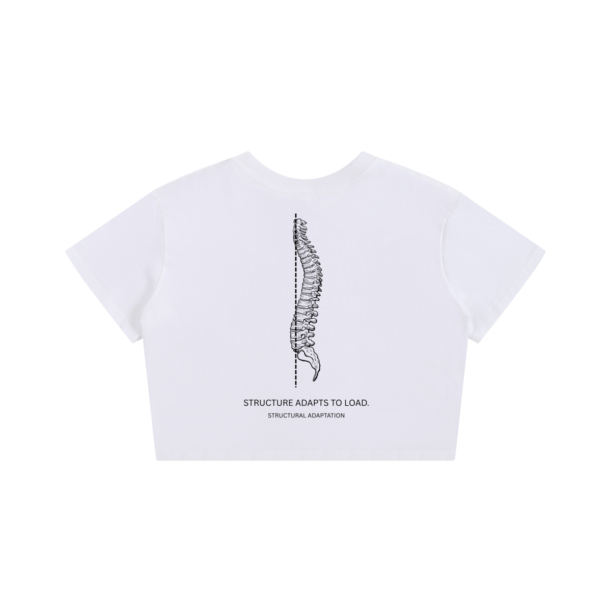 STRUCTURE ADAPTS TO LOAD Seamless Crop Tee — White, back print