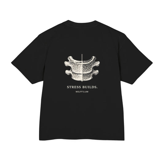 STRESS BUILDS. - Wolff's Law