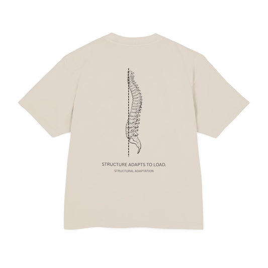 STRUCTURE ADAPTS TO LOAD - Davis's Law