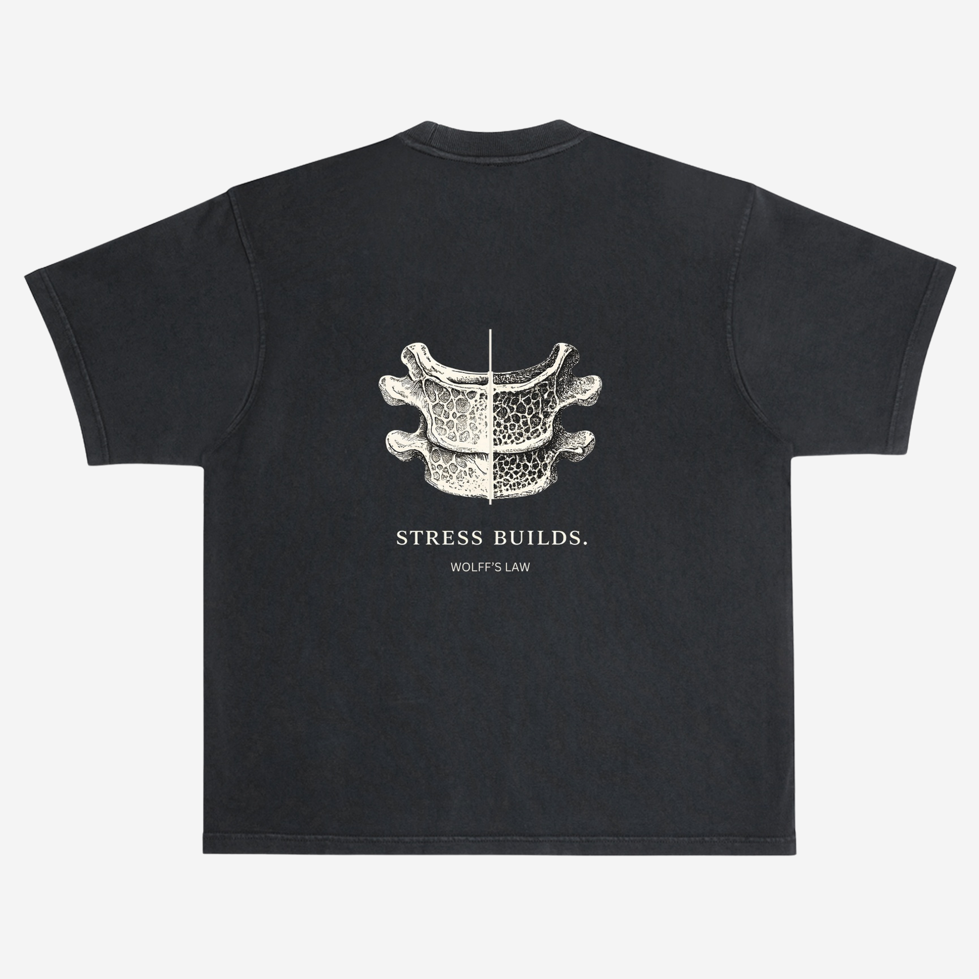 EMPIRIC. STRESS BUILDS. tee — back print detail, vertebral cross-section anatomy graphic