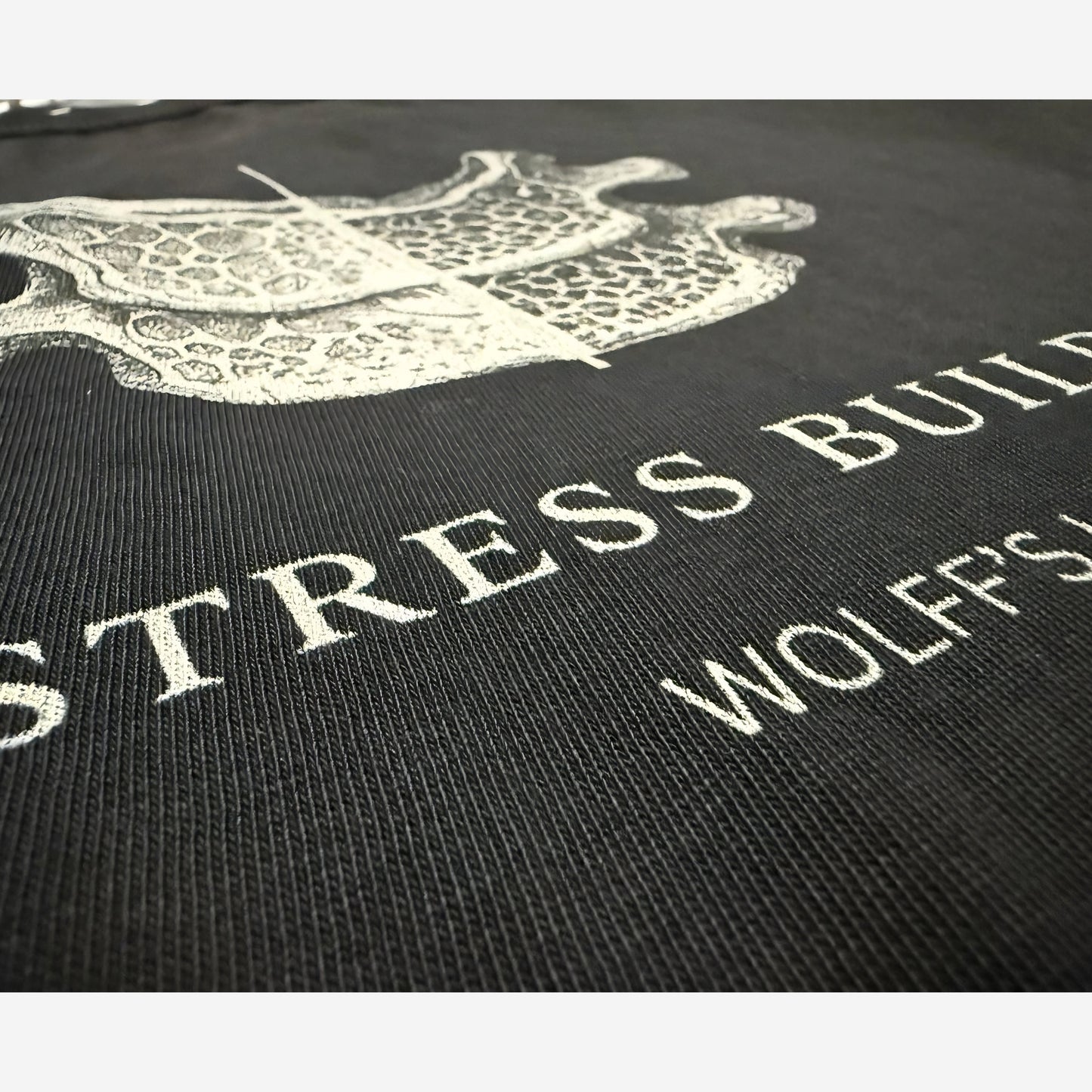 EMPIRIC. STRESS BUILDS. tee — on-body lifestyle shot