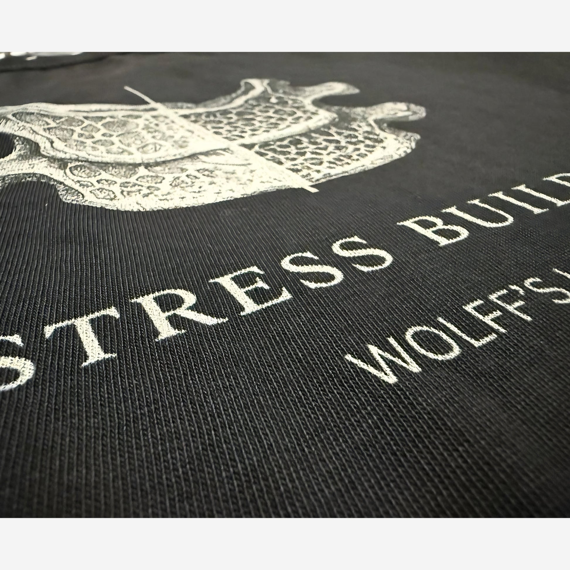 EMPIRIC. STRESS BUILDS. tee — on-body lifestyle shot